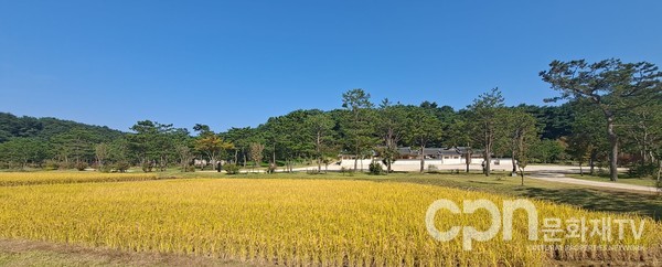 세종대왕릉 위토답 전경 (자료=국가유산청)