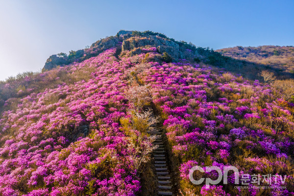 영취산 기암괴석과 진달래 군락(사진=국가유산청)