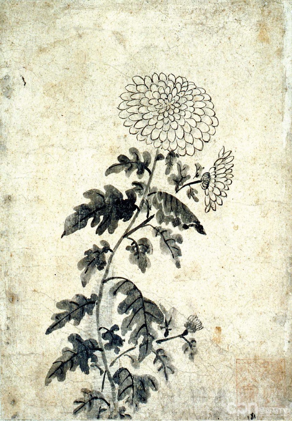 옥산의 국화꽃(사진=문화재청)